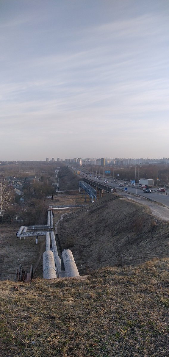 vovgik's tweet photo. Перезимовали....вроде !!!!! https://t.co/gTuAY1jquF