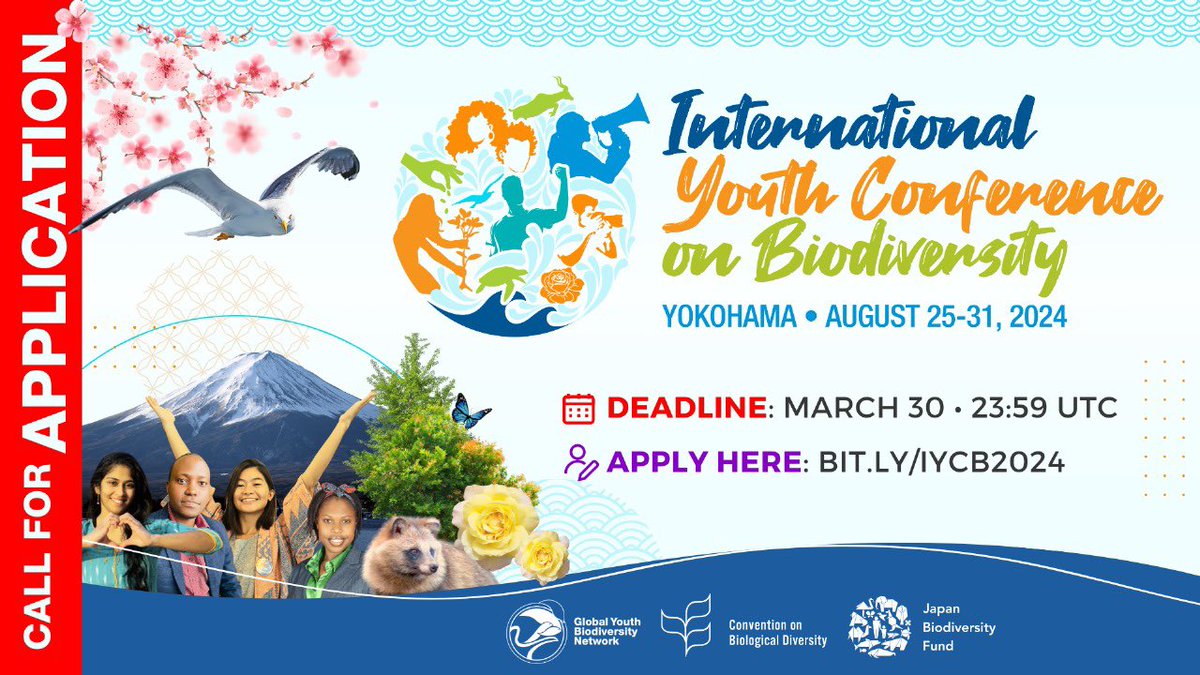 🌿🌎 Exciting news! The call for applications for young people to participate in the International Youth Conference on Biodiversity (IYCB) is now open Apply now: bit.ly/IYCB2024 #IYCB2024 #YouthIntoAction #YouthEngagement #WhatcanYOUthdo #FromAgreementToYouthActions