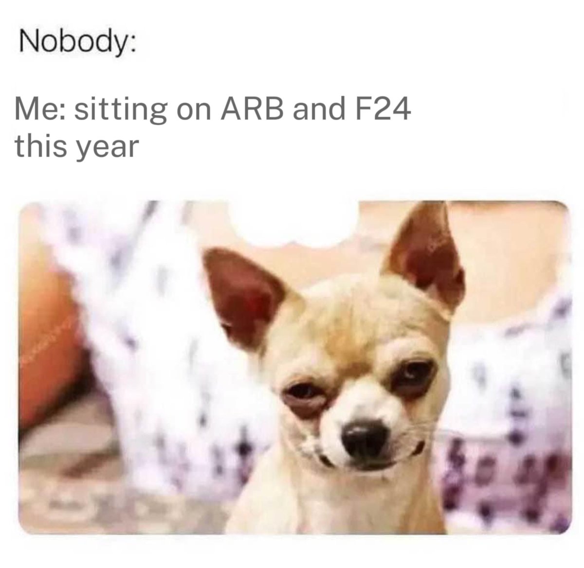 #HODL what you believe in.

$ARB and <a href="/Fiat24Account/">Fiat24</a> F24 to the moon.

#LFG