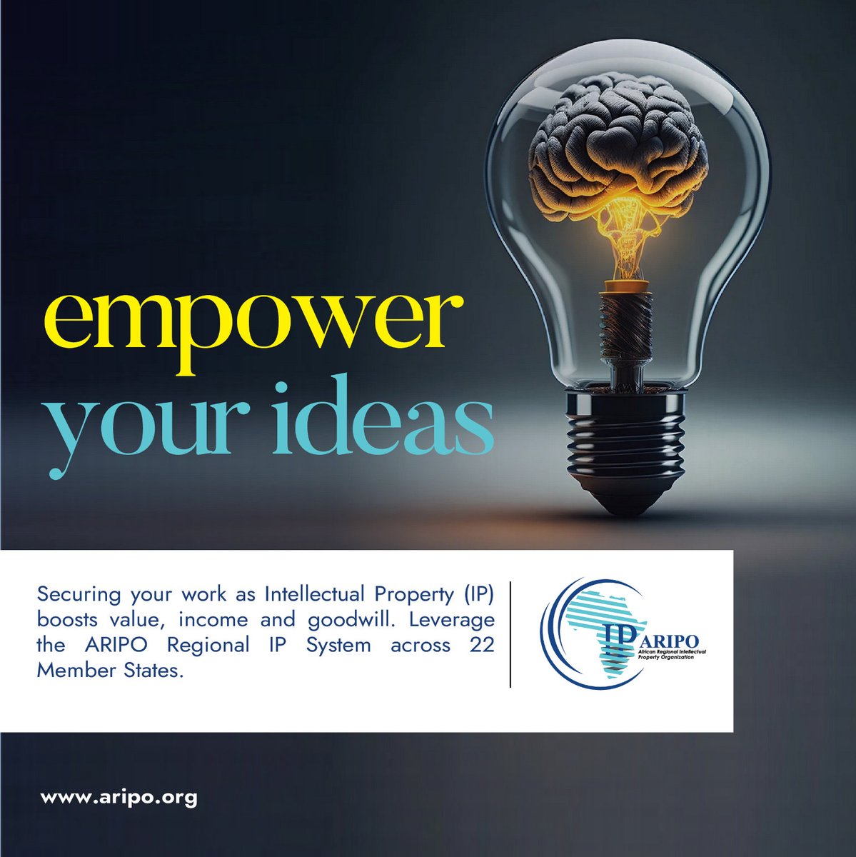 #Empower your ideas by registering your #patents, #trademarks, #industrialdesign, #utilitymodels etc. through the #ARIPO Regional IP System. Leverage the impact of a harmonized #intellectualproperty system tailored for #Africa.