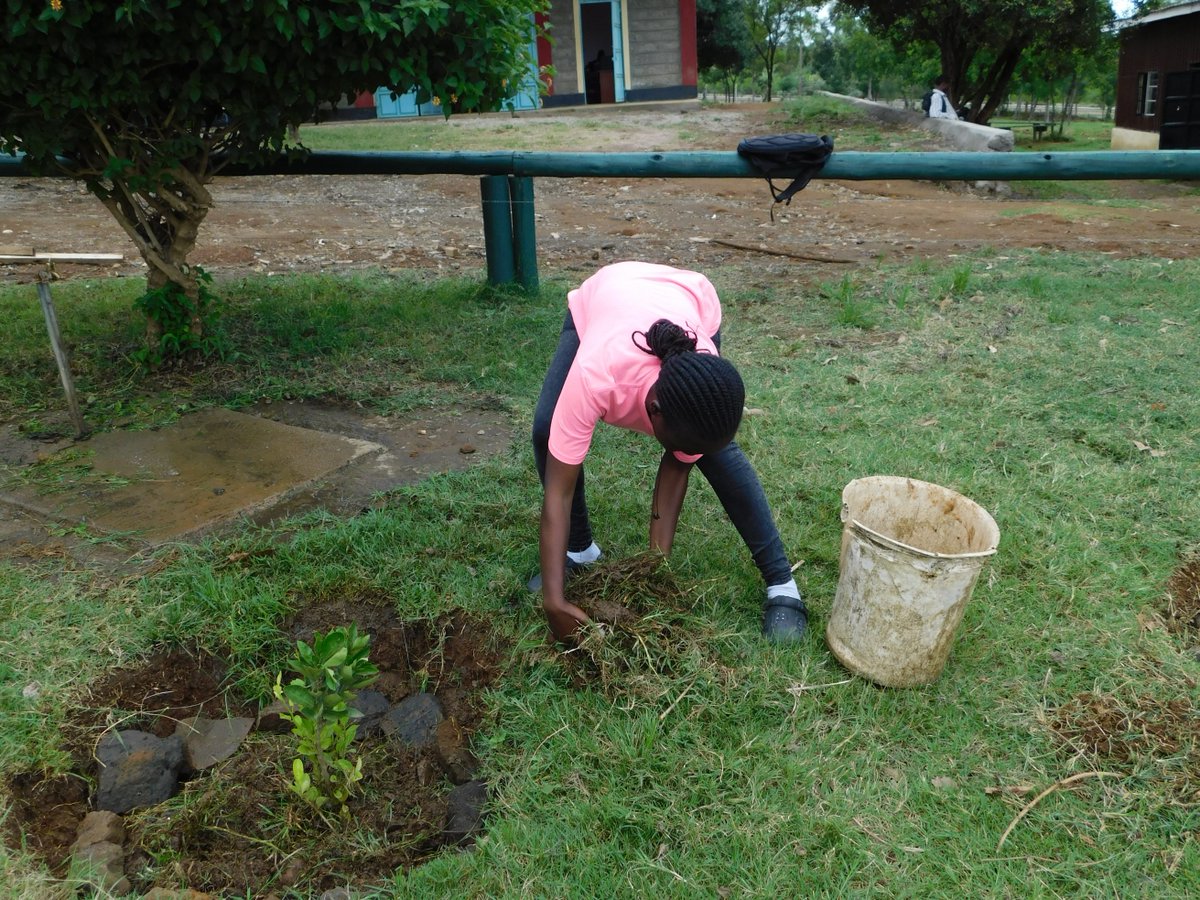 GREENING TVET!! MMTVC Scouting Club Take Part in mulching activity within the institution. The initiative is voluntary and is aimed at providing services that boost Eco-Friendliness