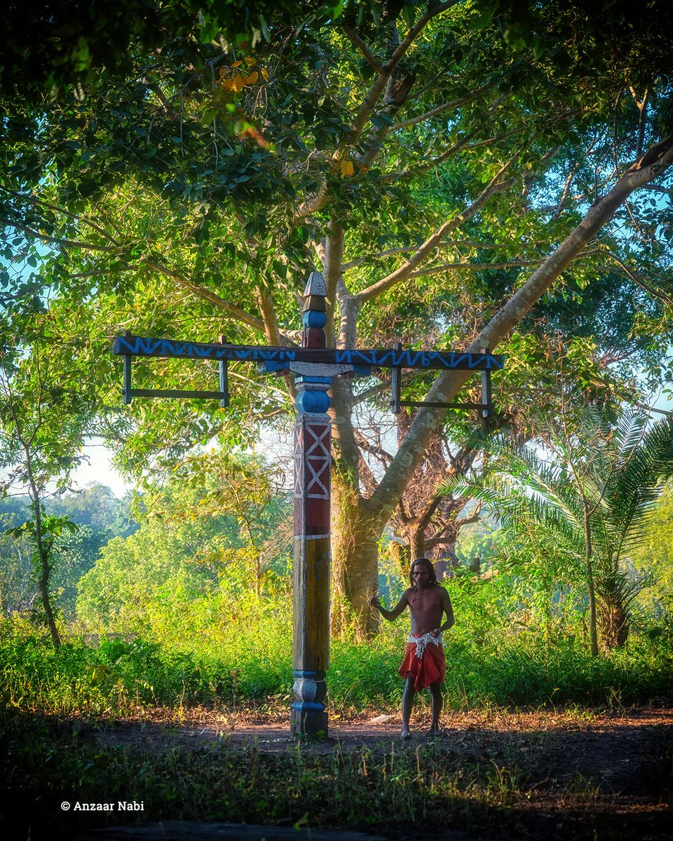 Dev Swing /Mata Jhula The sirha (shaman) and the pole where Dev swings are installed during Jatra etc. - Netanar #melamadai #ourcultureourpride #bastar #chhattisgarh