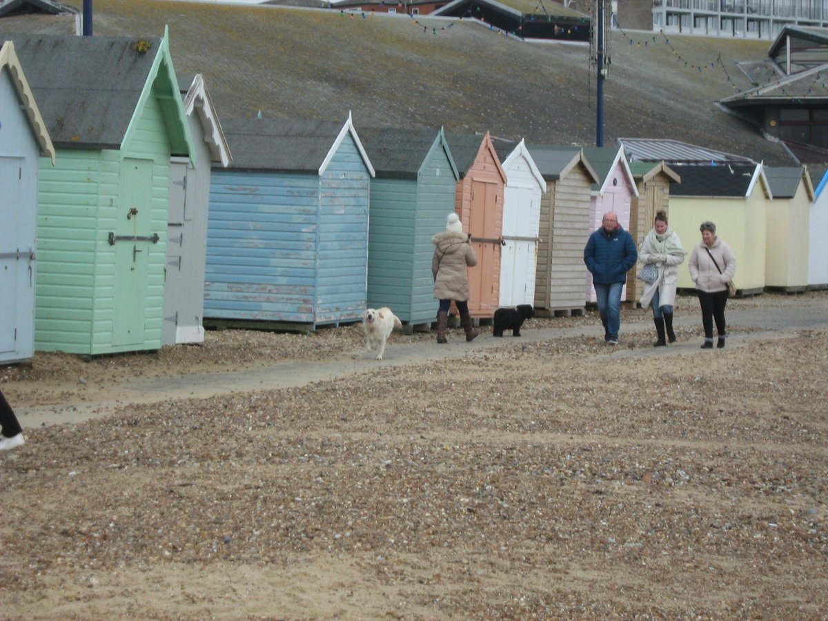 jonnyald's tweet photo. down at Felixstowe beach #beach #huts #walkers #jetsom #driftwood #sea #shells #dogs #lifesgreat #suffolk #coast https://t.co/DoA1oQiP8f