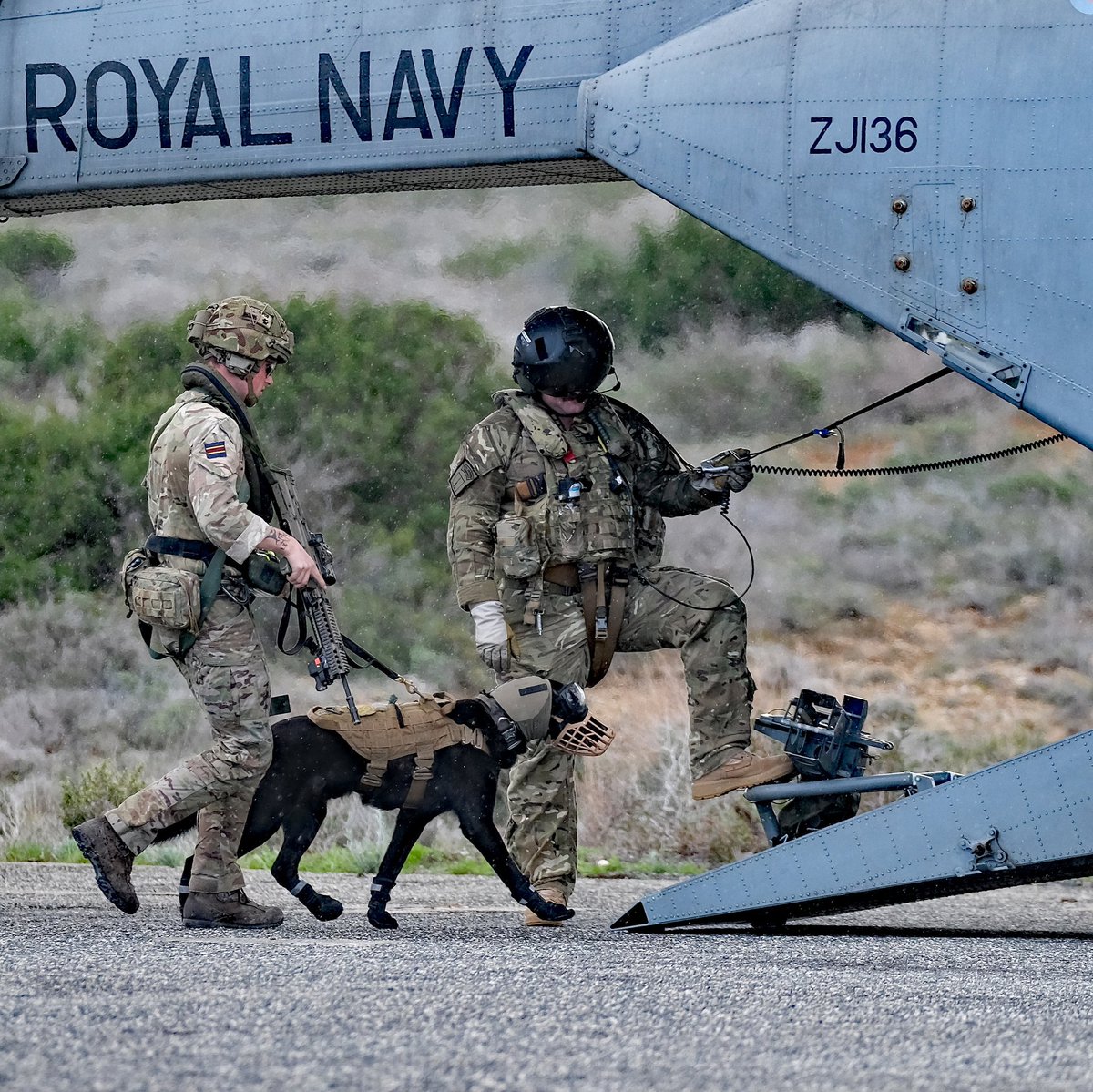Wednesday Sports Afternoon... Why not get out with the dog? 🐾 #FlyNavy