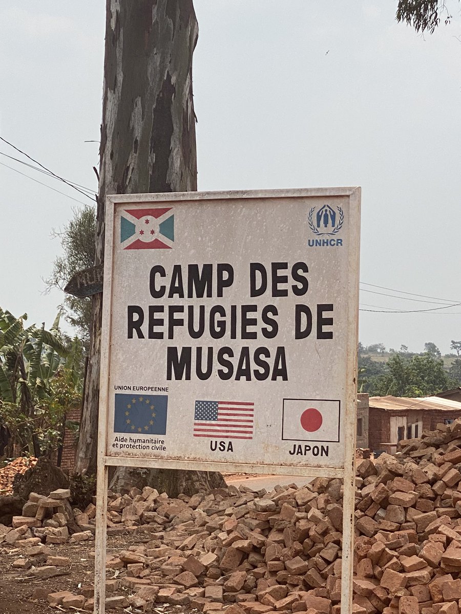 #Burundi Jardins potagers des camps #Musasa #Kavumu #Kinama #Nyankanda et #Bwagiriza financés par <a href="/ProTurikumwe/">PRODECI-TURIKUMWE</a> pour améliorer la nutrition