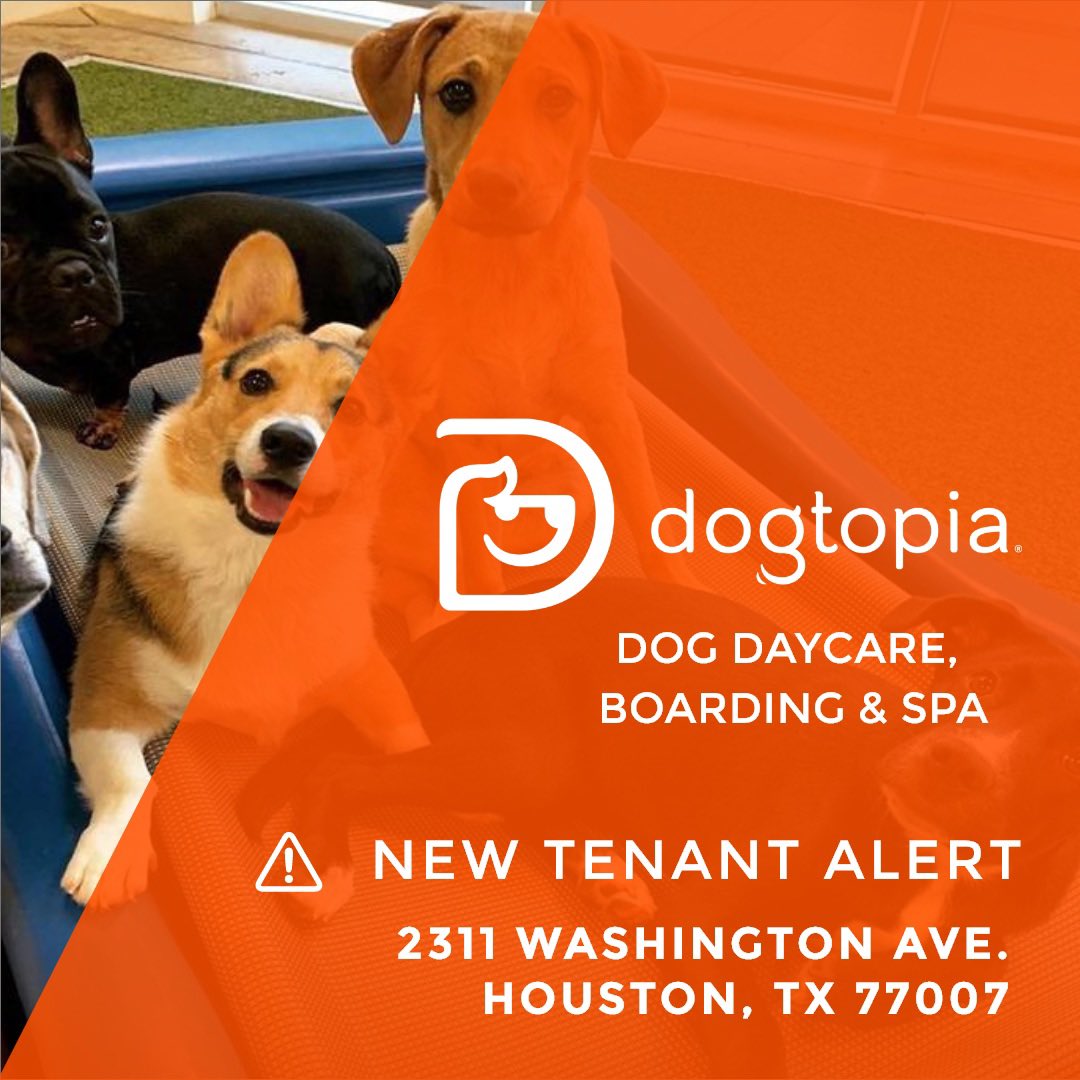 iamzachwolf's tweet photo. Wolf Capital Partners is proud to announce that @dogtopia is now open at 2311 Washington Avenue in Houston, Texas! https://t.co/13LHjtl4hW