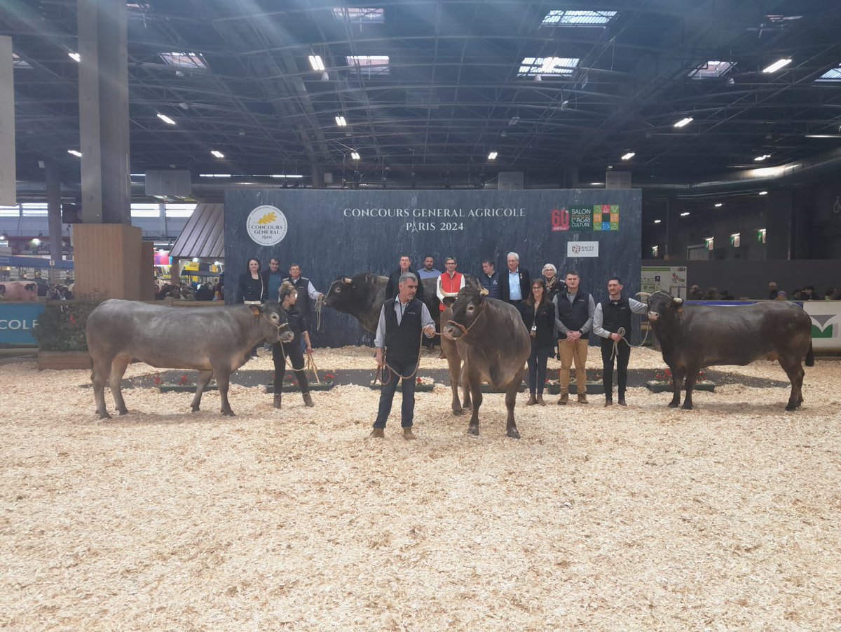 Les élus de la Chambre d'agriculture et du Conseil départemental de la Gironde étaient présents lors de la présentation de la race Bazadaise au Salon de l'Agriculture à Paris.
Chambre d'Agriculture de la Gironde  Conseil Departemental De La Gironde Race bazadaise