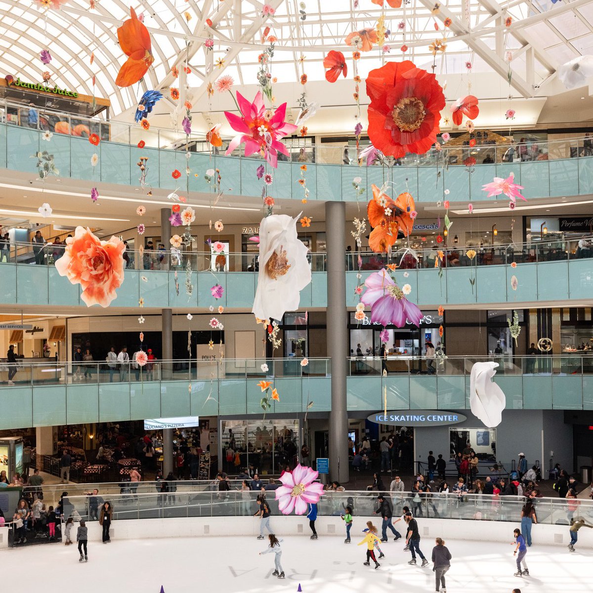 Spring has sprung at #GalleriaDallas.🌸 Our cascading garden of over 375 blooms is on display over our ice skating rink now through May 22nd! #iceskating #spring #flowers #DallasTX