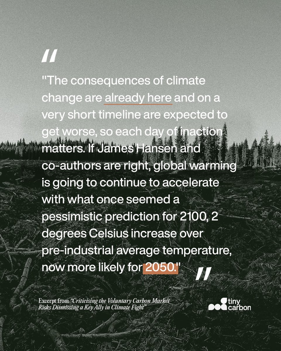 Dive into the climate action scene! Join the chat on carbon offsets, sustainability, and why it's high time for us to step up via link in bio! #TinyCarbon