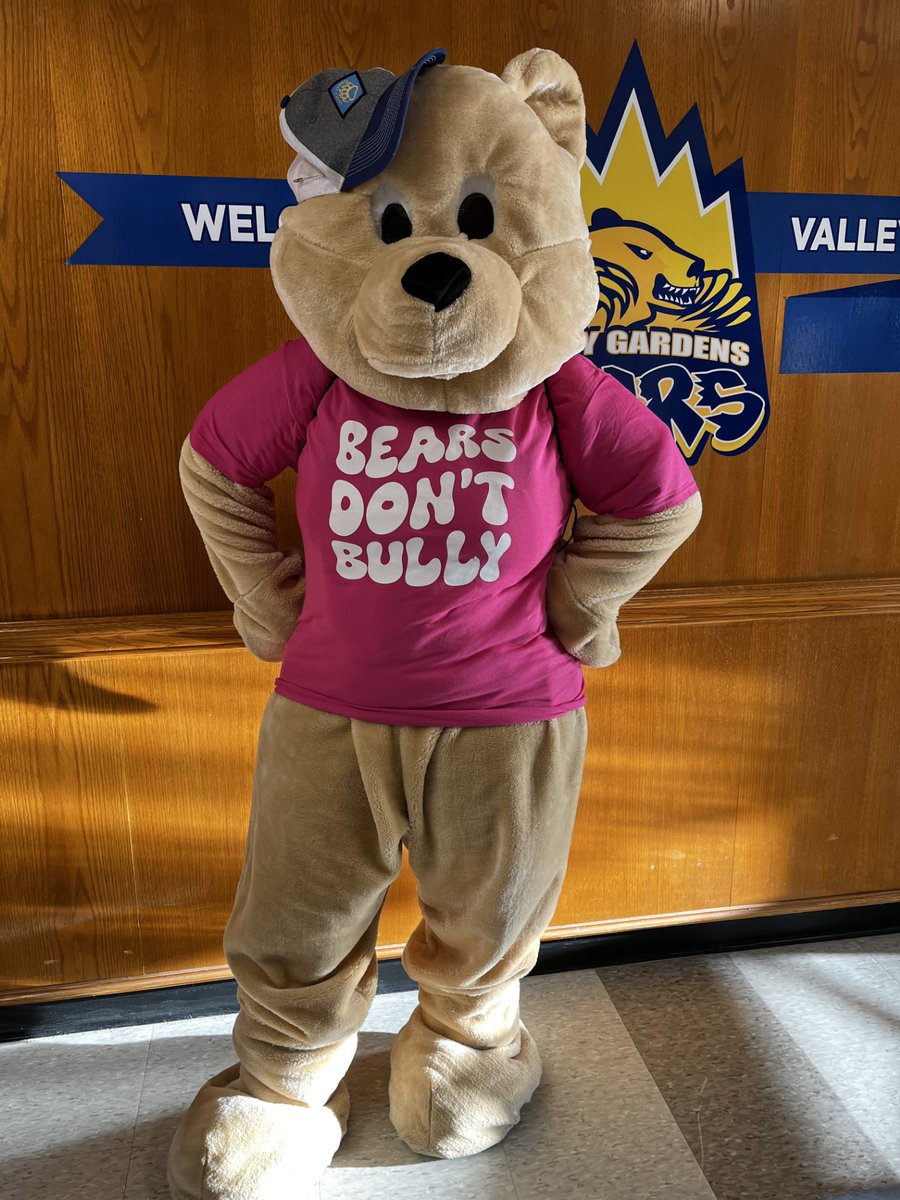 Today is Pink Shirt Day! VG🐻says "Bears don't bully!" Can't wait to see all of your pink shirts to support against bullying! #PinkShirtDay