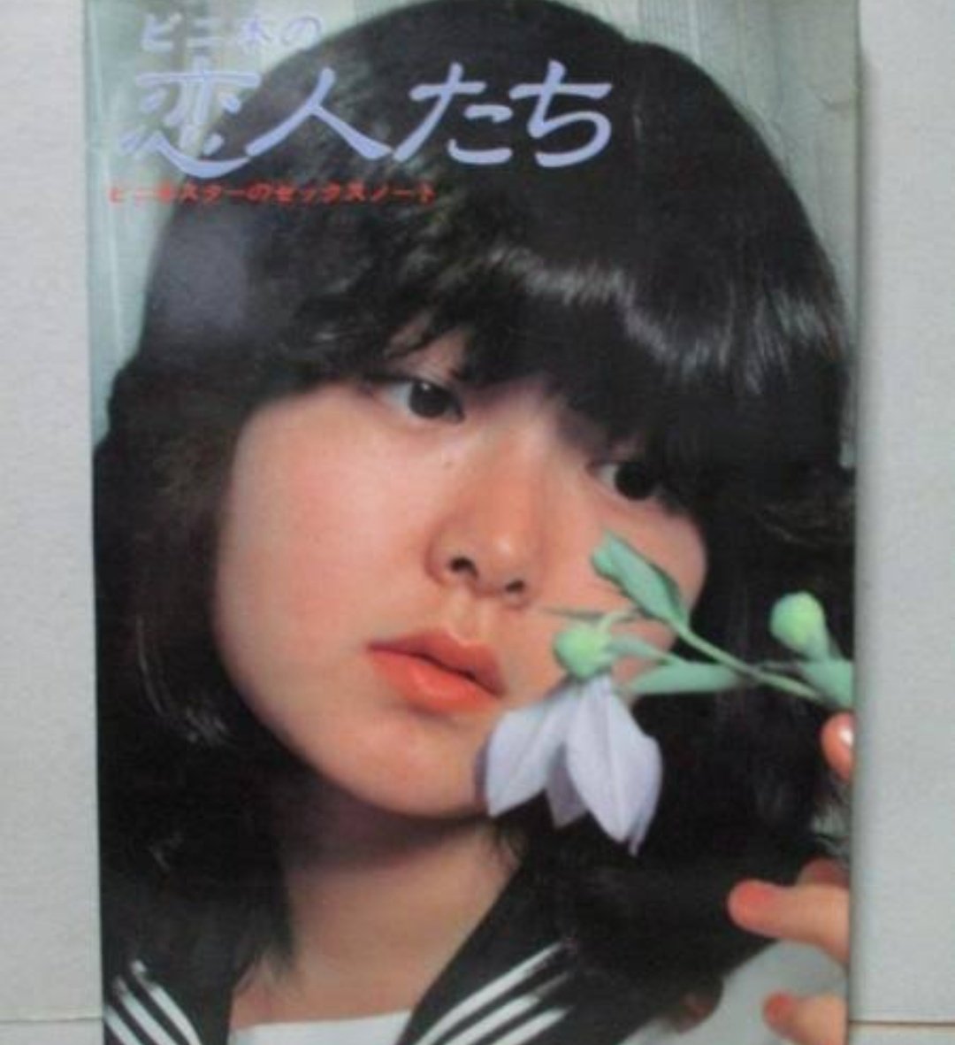 ビニ本 