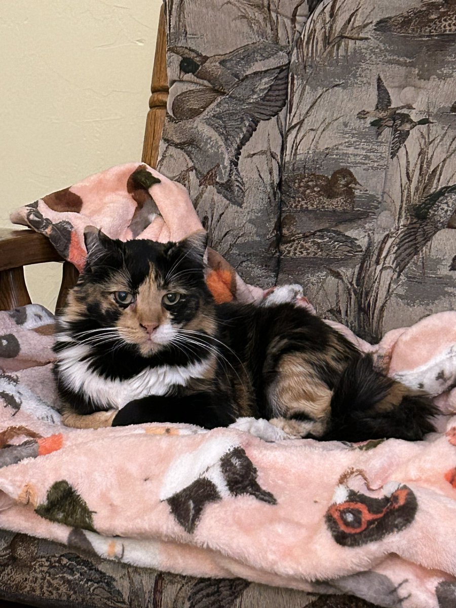 Hi everyone! Happy Wednesday!