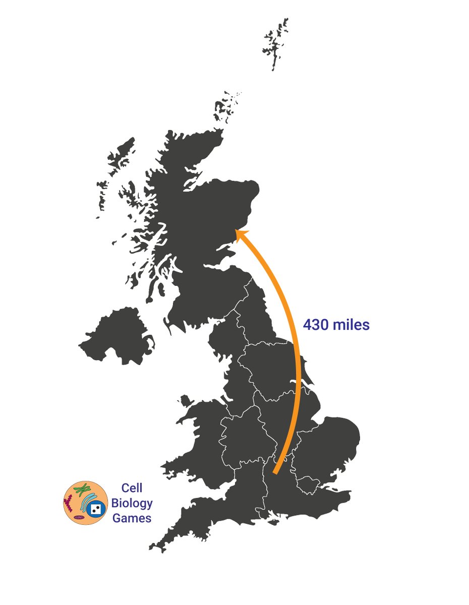 DrTomTORC's tweet photo. My extended #BSW2024 @CellBioGames #CellSurvival sessions, supported by @BiochemSoc kicked off today with a virtual trip from @Dunn_School @UniofOxford 430 miles north back to #Dundee!
Had a great time discussing games, game design and the odd bit of biology with everyone! https://t.co/g6mutyoE7d