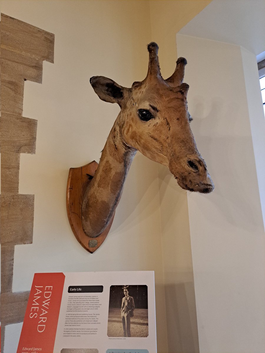 Museum Development Officer Hants Solent IOW (@mdo_hamp_solent) on Twitter photo Get networking with Southern Regional Conservation Network <a href="/westdeancollege/">West Dean College</a> <a href="/SEmuseumD/">South East Museum Development</a> southeastmuseums.org/networks/south… Get networking with Southern Regional Conservation Network <a href="/westdeancollege/">West Dean College</a> <a href="/SEmuseumD/">South East Museum Development</a> southeastmuseums.org/networks/south…