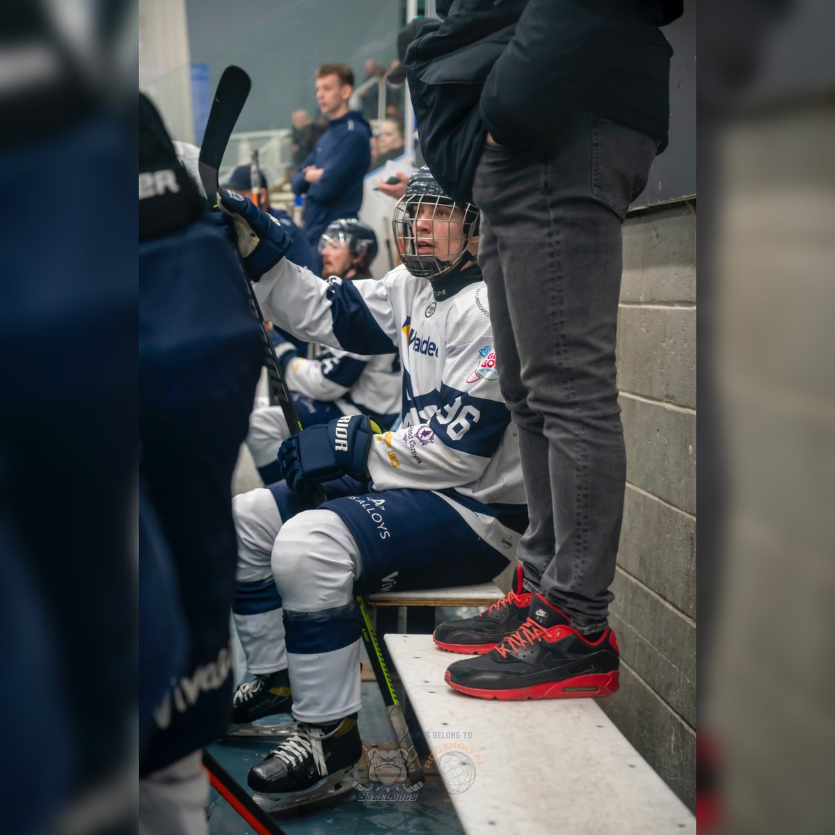 RDGDigitalUK's tweet photo. This weeks Portraits are here - @SteeldogsIHC vs @GoPhantoms was a fun one. 📸🏒
.
.
.
#UKhockey #IceHockey #EIHA #EIH #NIHL #Sheffield #Steeldogs #SportsPhotography #Photography #sony #A7R #IceSheffield #Sport #icesports #Peterborough #Phantoms https://t.co/H0bjkQknyi