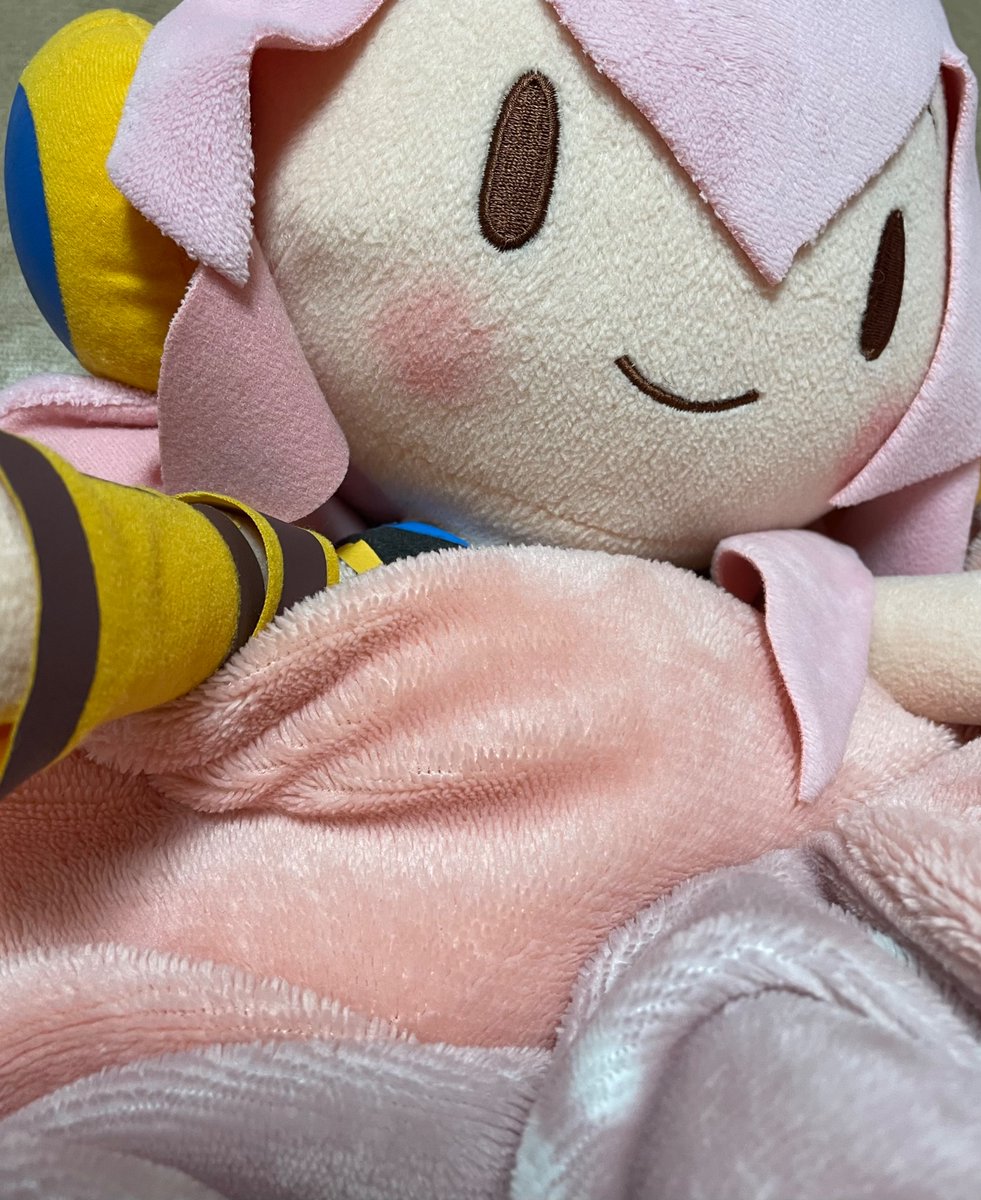 #ルカぬいと一緒に

お休みなさい。