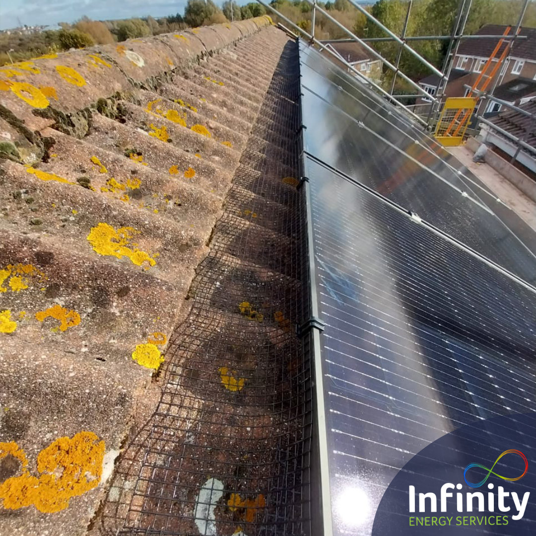 infinityenergy0's tweet photo. Worried about birds nesting under your solar panels?!
Solutions we’ve incorporated within our installs are installing bird mesh wire or solar panel skirts, making your system fully protected against birds nesting. Contact us for a free consultation. https://t.co/WmdQuiBpbO