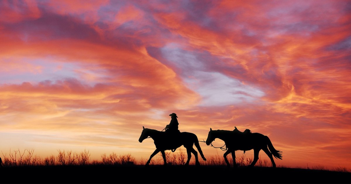 Move over, Zane Grey! These recommended westerns go beyond the gunslinging cowboy plot with underrepresented perspectives and nontraditional storylines. skokielibrary.info/lists/3617/not…