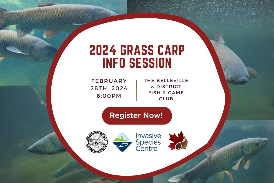 It's not too late to register for tonight's Grass Carp Info Session! 

WHEN: Tonight! Wednesday, February 28th @ 6:00pm
WHERE: The Belleville &amp; District Fish &amp; Game Club,
              Belleville, ON

Register for free at: events.r20.constantcontact.com/register/event…