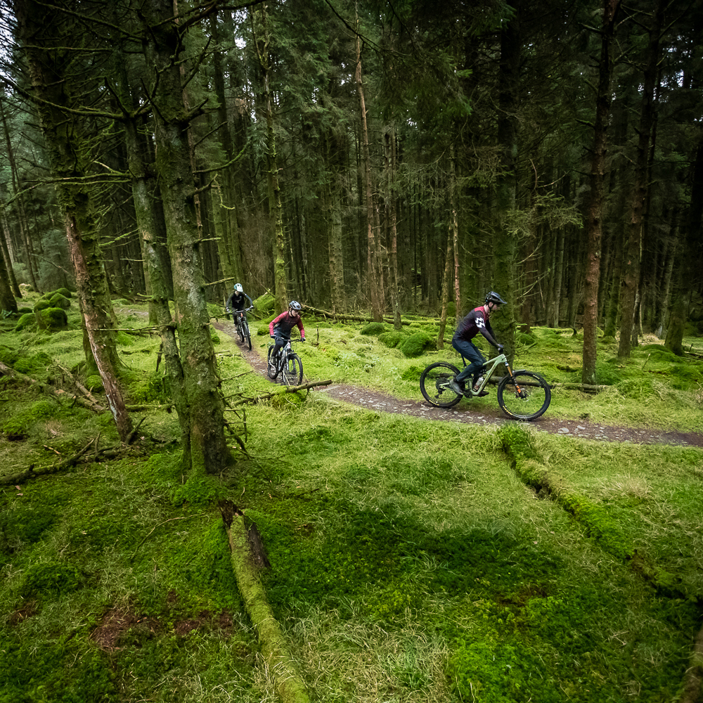 Over-indulged? Discover Norther Ireland’s great outdoors 🏄‍♂️🌳🚴‍♂️ 🤓 Read on page 46 in this month's issue 📸: Davagh Forest Mountain Bike Trail #fermentmagazine #beer52 #northernirelandoutdoors #craftbeer