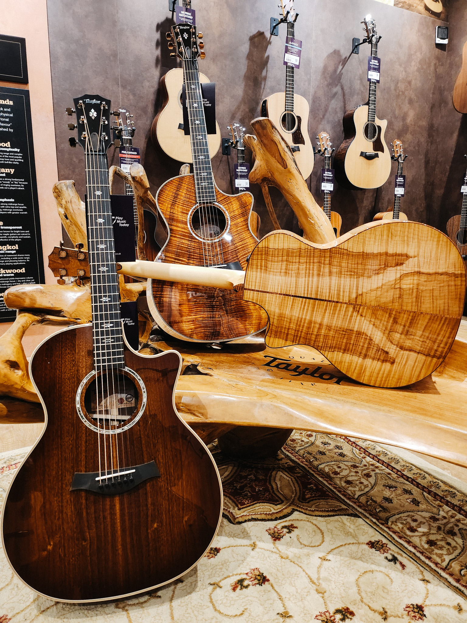 Pmt 2024 taylor guitars