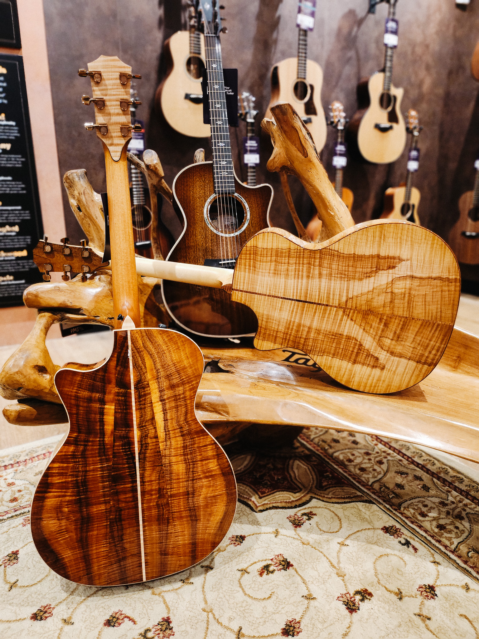 Pmt 2024 taylor guitars