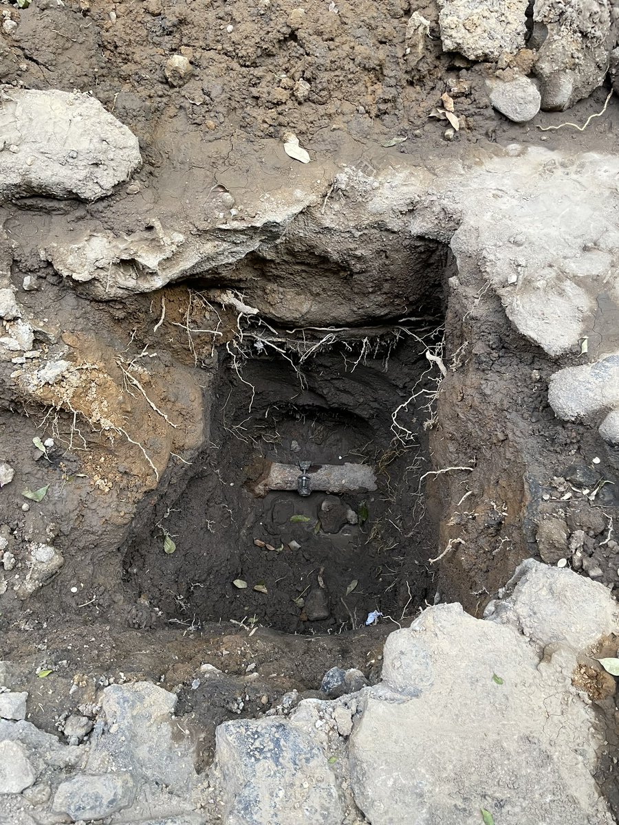 Sergio A Sánchez D tweet media