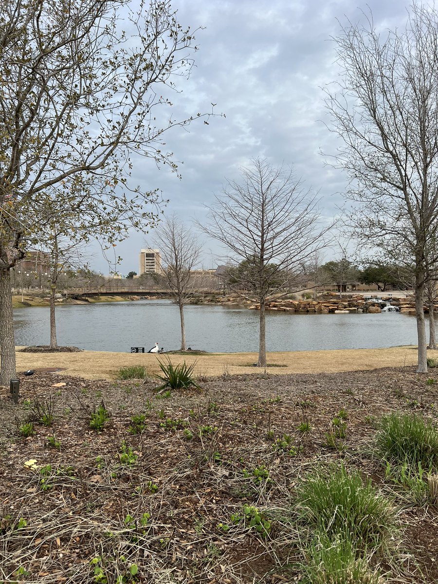 JennT_SpEdTeach's tweet photo. Could get use to this view on my run! 
#selfcare #phdlife @tamuepsy https://t.co/vfbn0dUp2g