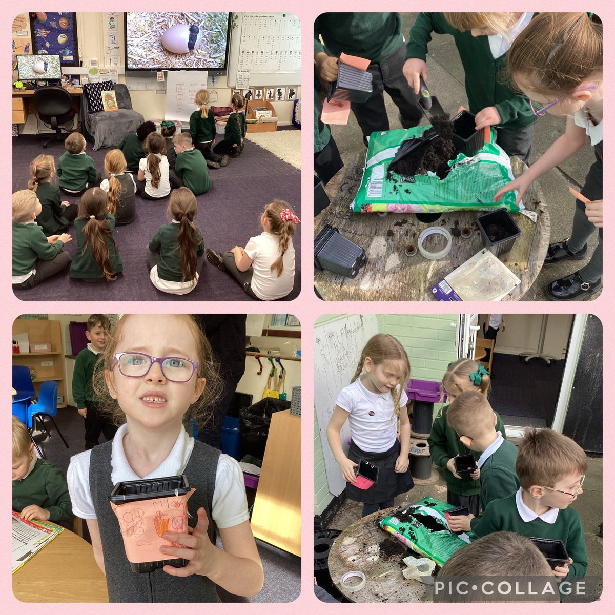 BaderPrimary's tweet photo. Year 1 looked at bulbs and discussed whether they are alive or dead and how we know this. They looked at changes in Spring and created logos with symbols of new life to add to their plant pots. #BaderRWV #RRSarticle30 https://t.co/6JhOKc46D6