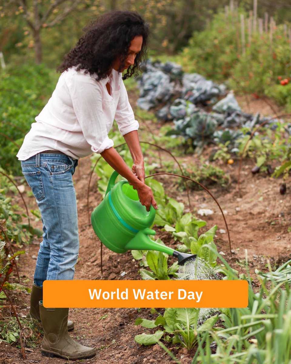 Today is World Water Day, an opportunity to remind us of the vital importance of water and our responsibility to preserve it. Our Smart Rain Gauge, measures precipitation and helps you manage your garden's watering more efficiently, thus saving precious water. 🌦️🌿