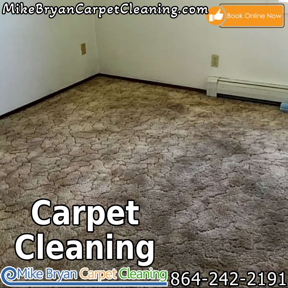 Spring into freshness with our carpet cleaning services! Revitalize your home for the new season. 
Call  864-430-1499  or visit mikebryancarpetcleaning.com #greersc #taylorssc #greenvillesc #upstatesc