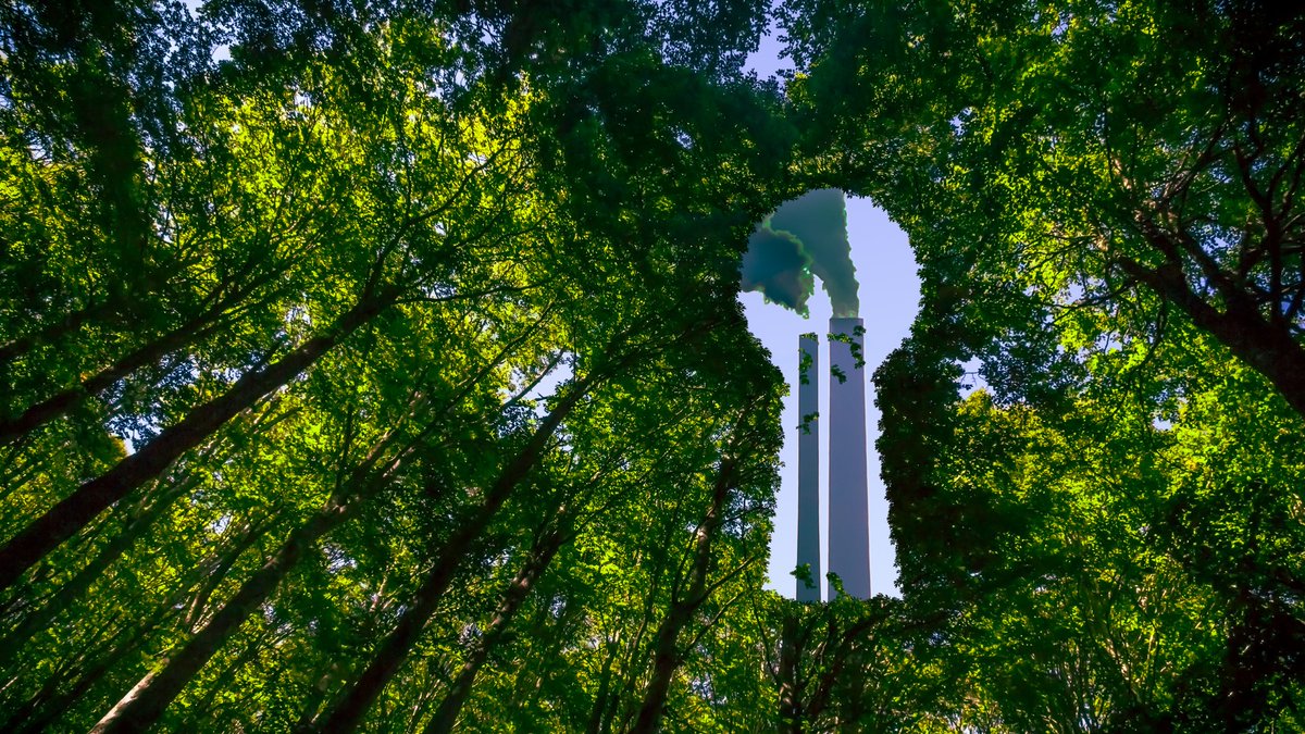 Was ist die grösste Herausforderung in Sustainable Finance? Greenwashing ist es jedenfalls nicht, sagt AMAS-CEO Adrian Schatzmann. unternehmen.tagesanzeiger.ch/finanzierung-k…