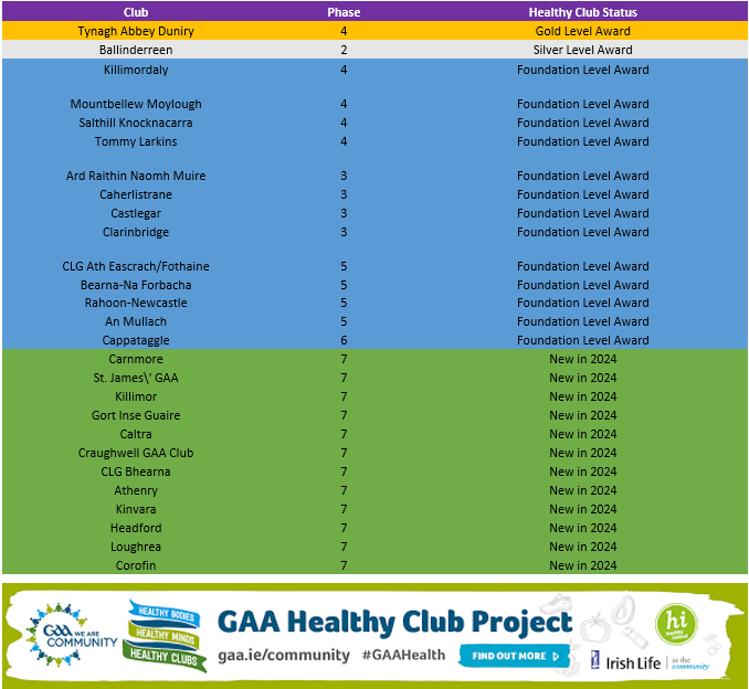 Galway GAA now have 27 clubs around the county taking part in the GAA Healthy Clubs Programme with 12 new clubs joining for 2024. Well done to all involved👏 #GAABelong #healthyclubs