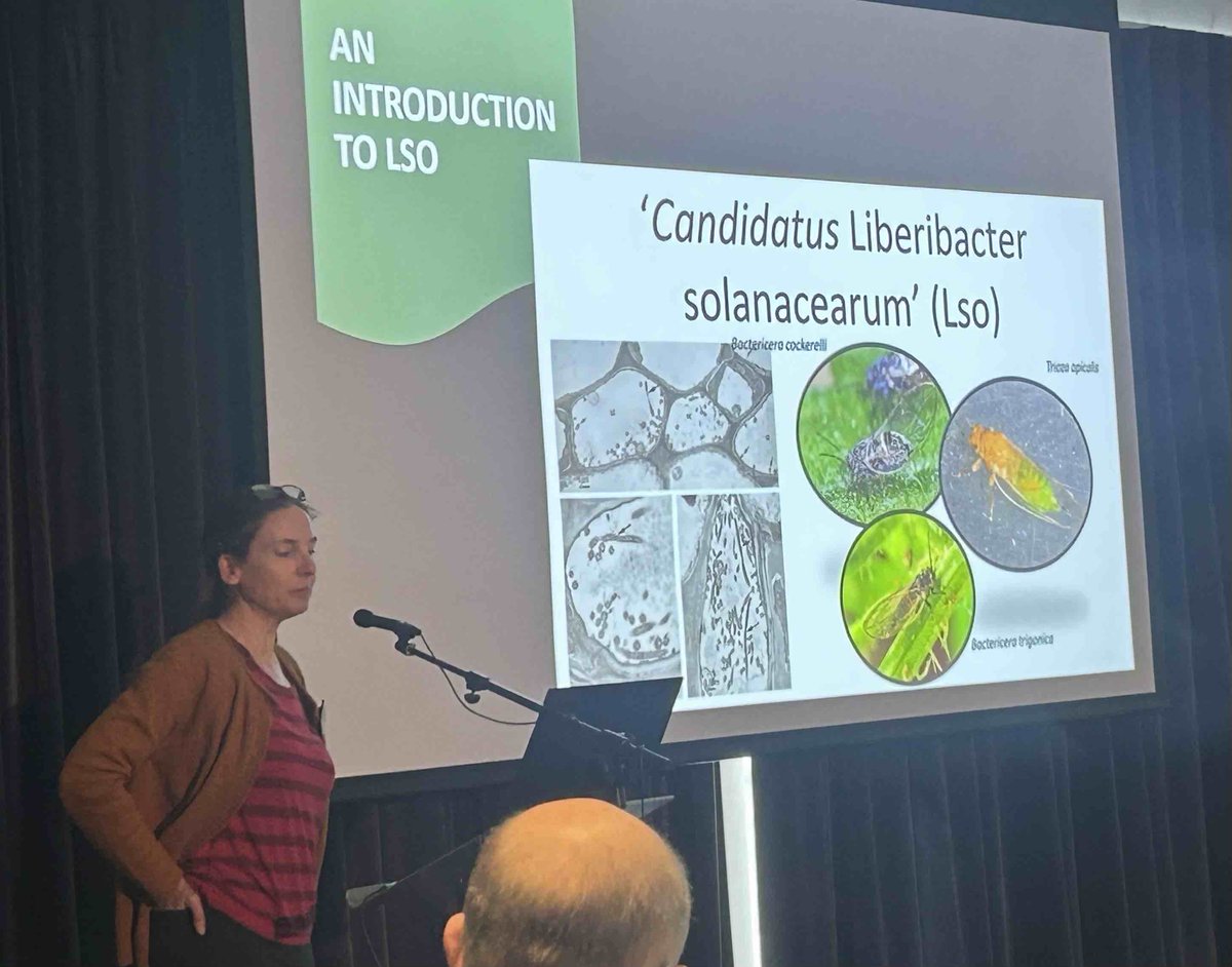 AAB @aabiologists.bsky.social (@aabiologists) on Twitter photo Fiona Highet <a href="/fiona_bugsnbees/">Fiona Highet</a> <a href="/ScotGovSASA/">SASA</a> finishes #CPNB24 with an introduction to Lso, a bacterial disease of 🥕 that is present in hedgerows and would be a MAJOR issue if it 'found' a vector to bring it into 🥔 <a href="/BactPlantDis/">Bacterial Plant Diseases Programme 2020-24</a>
bacterialplantdiseases.uk/caliber/ Fiona Highet <a href="/fiona_bugsnbees/">Fiona Highet</a> <a href="/ScotGovSASA/">SASA</a> finishes #CPNB24 with an introduction to Lso, a bacterial disease of 🥕 that is present in hedgerows and would be a MAJOR issue if it 'found' a vector to bring it into 🥔 <a href="/BactPlantDis/">Bacterial Plant Diseases Programme 2020-24</a>
bacterialplantdiseases.uk/caliber/