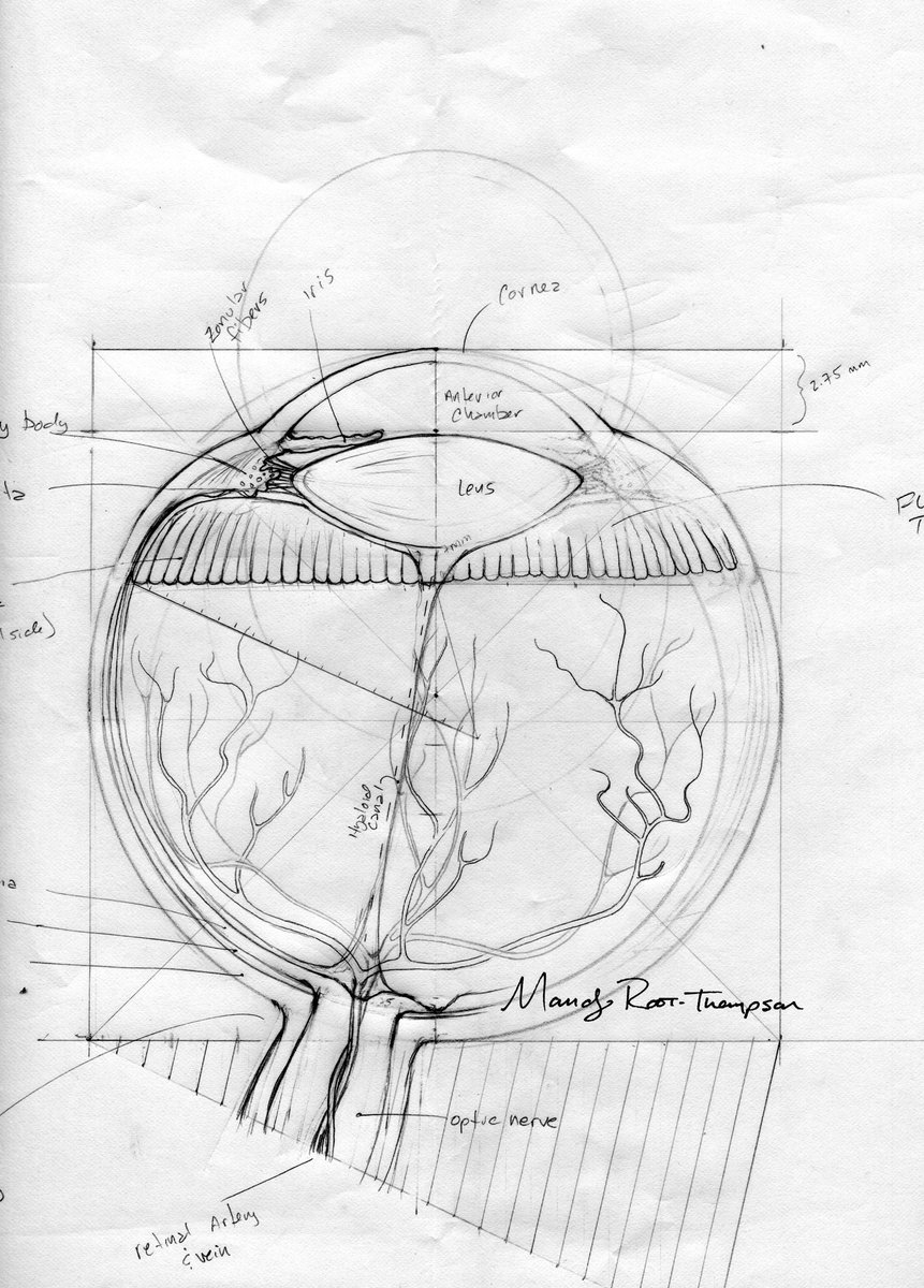 MedDrawStudio tweet picture