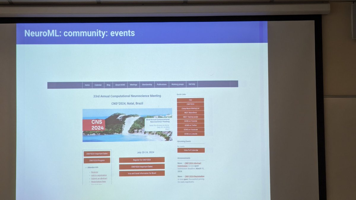 liontarakos's tweet image. #neuroml #brain #research #neuroscience #presentation
