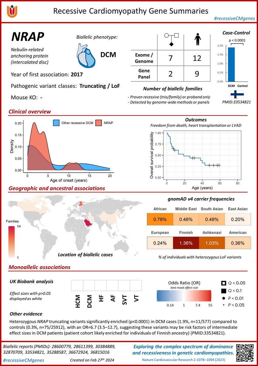 Our latest recessive cardiomyopathy gene summary is for NRAP, potentially one of the most prevalent biallelic cardiomyopathy genes and which has been robustly associated with DCM for several years now. nature.com/articles/s4416… #recessiveCMgenes