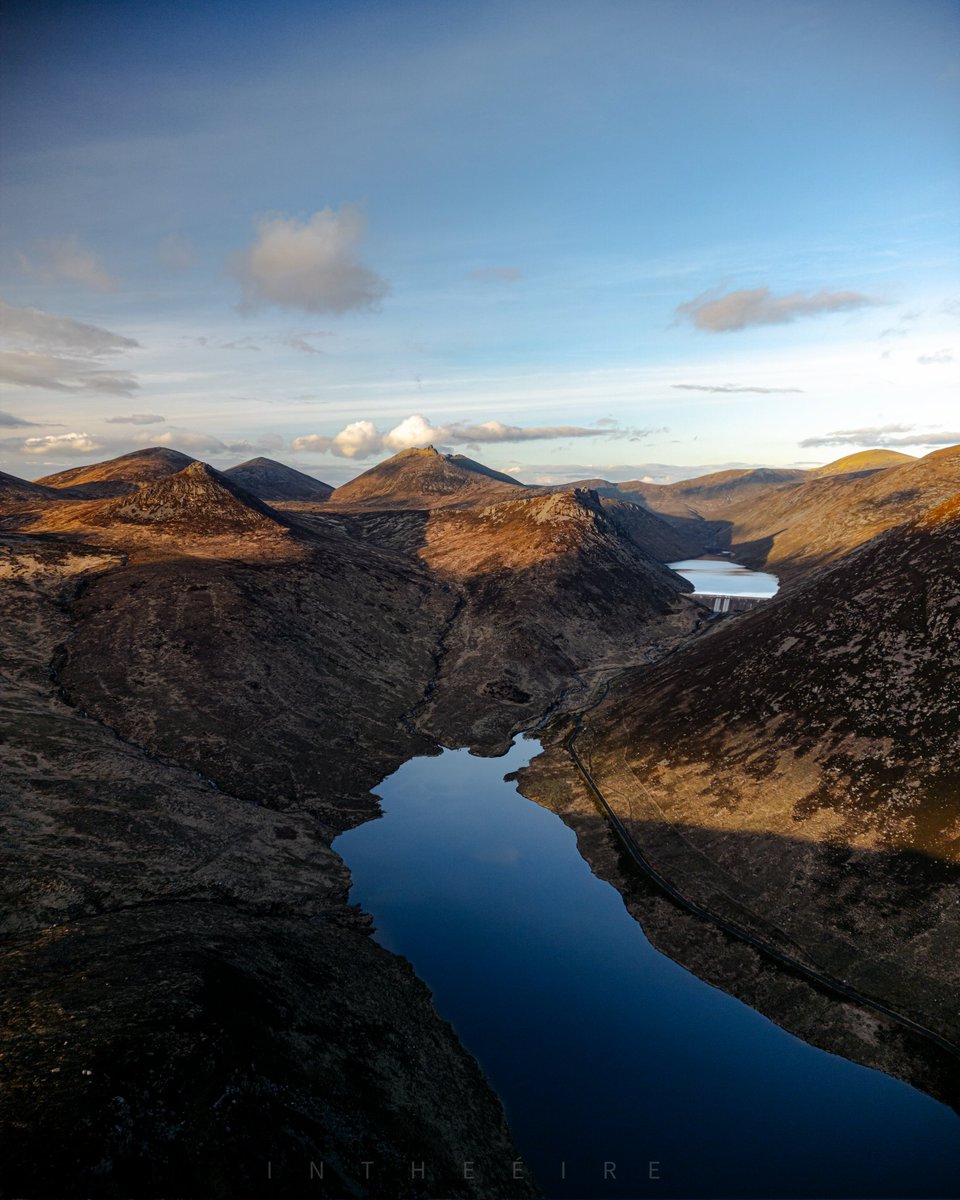 I N T H E É I R E tweet media