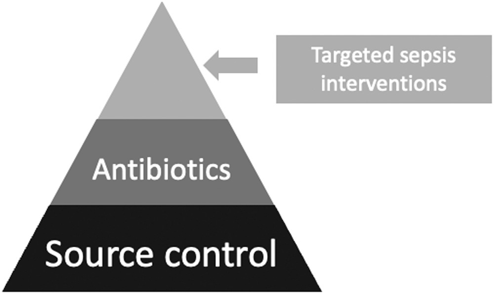 👉 In the fight against #sepsis and #septicshock, a critical yet often overlooked aspect is #sourcecontrol. This involves physical measures to eliminate infection sources, halt further contamination, and restore the affected area's normal function.