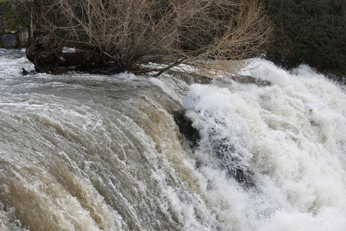 NavarraTV's tweet photo. 💧 La CHE prevé que la punta de la crecida del #Ebro llegue a #Tudela esta tarde
https://t.co/9jSqoe9YMW https://t.co/WAiXbQibtG
