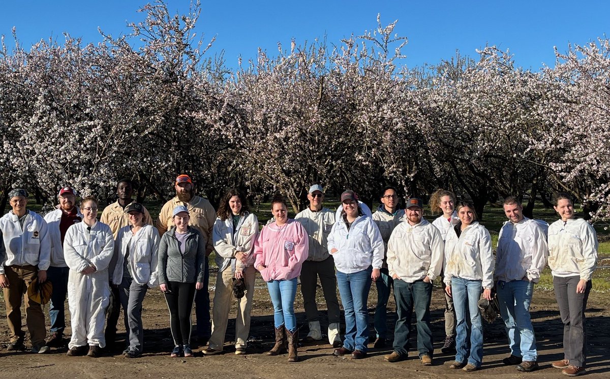 OSUHoneyBeeLab's tweet image. Our large USDA SCRI funded multi-state (OR, WA, CA and MS) project to address European foulbrood disease in honey bee colonies started successfully last week in California almonds. Fortunate to have the best teams working together to gather useful insights in the next four years.