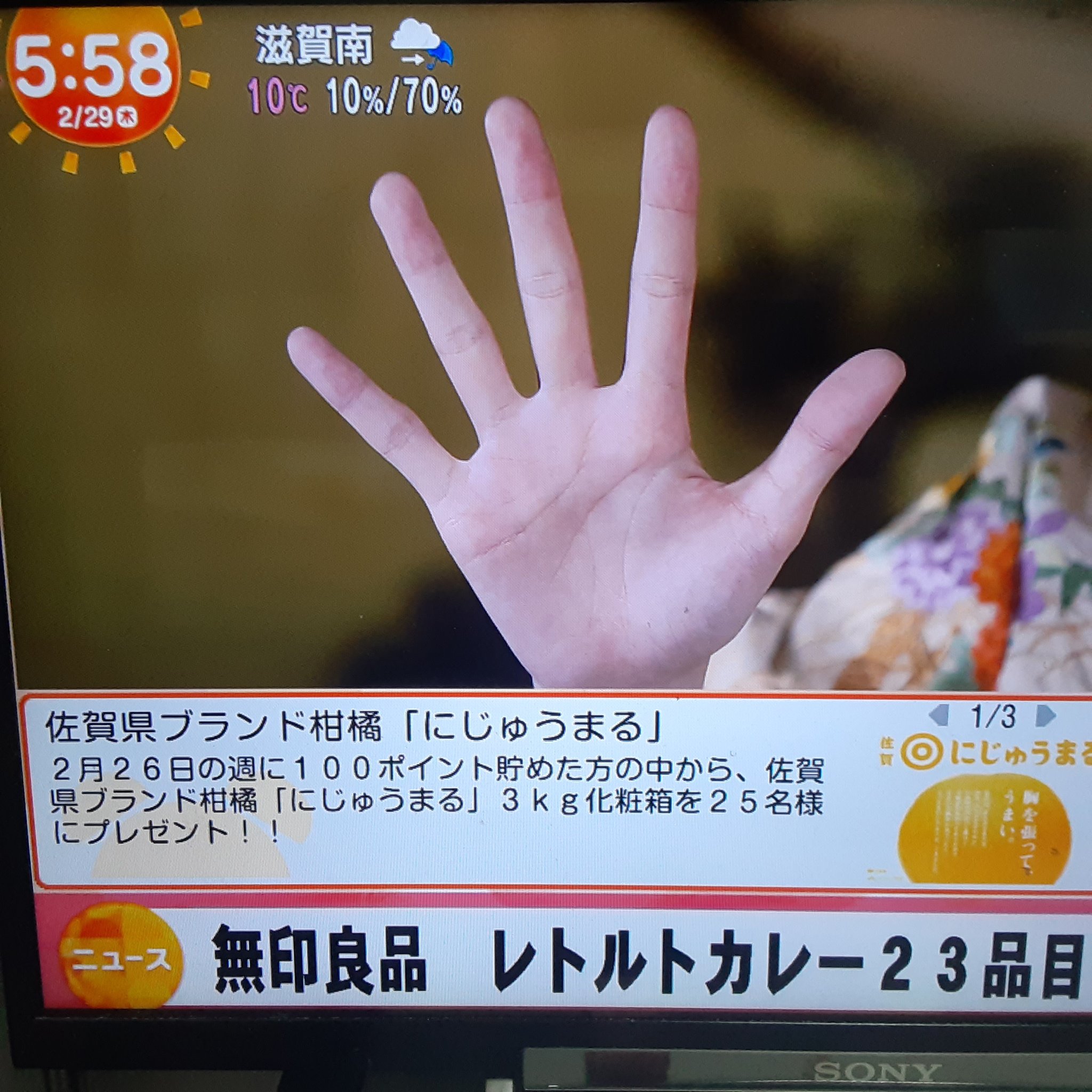 やっち on X: 