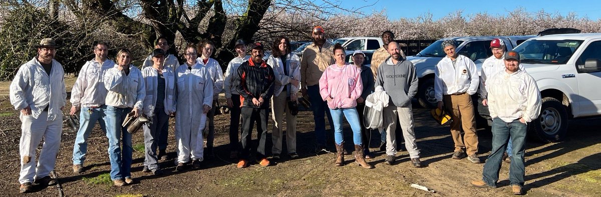 OSUHoneyBeeLab's tweet image. Our large USDA SCRI funded multi-state (OR, WA, CA and MS) project to address European foulbrood disease in honey bee colonies started successfully last week in California almonds. Fortunate to have the best teams working together to gather useful insights in the next four years.