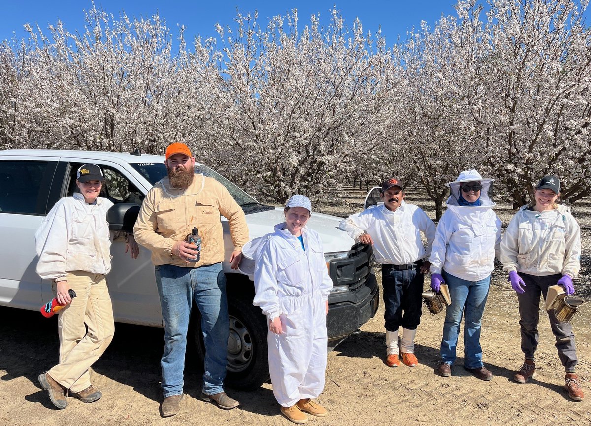OSUHoneyBeeLab's tweet image. Our large USDA SCRI funded multi-state (OR, WA, CA and MS) project to address European foulbrood disease in honey bee colonies started successfully last week in California almonds. Fortunate to have the best teams working together to gather useful insights in the next four years.