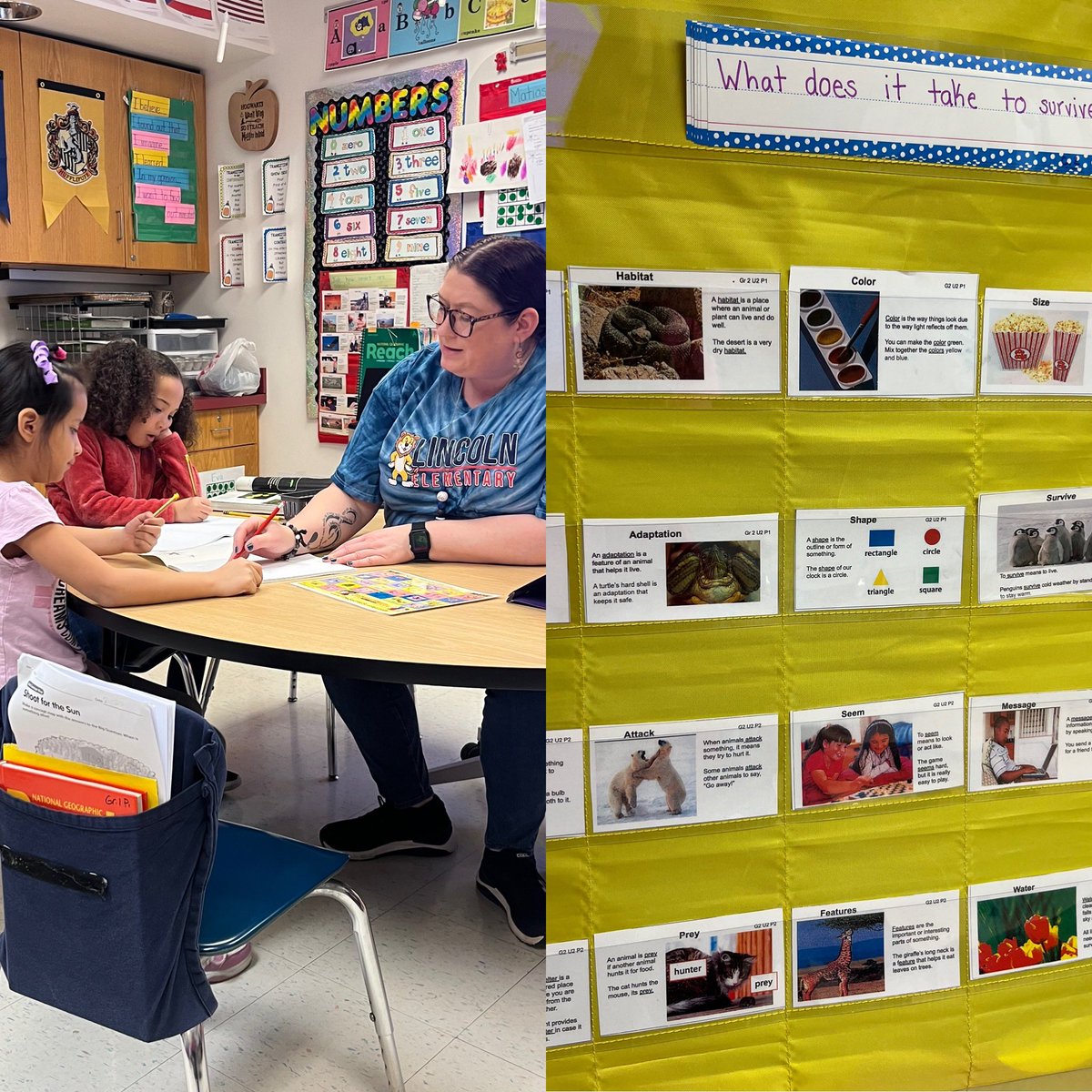 trigutman's tweet image. #Comprehensibleinput @EPSDLincoln @EastPennSD for our language learners. So grateful to have Ms. Stauffer on our team.
