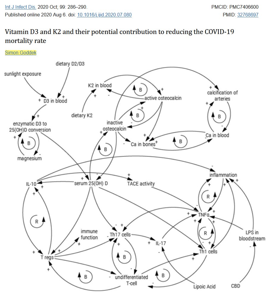 Three years ago, I wrote a publication on the importance of Vitamin K2 in conjunction with Vitamin D supplementation and explained why people who have an adequate Vitamin D blood serum level don't need to worry much about Covid. That publication almost got me fired.

Although the