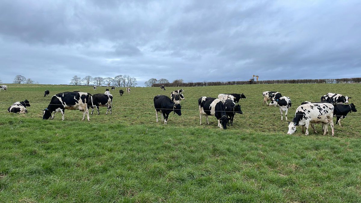 Kite Consulting tweet media