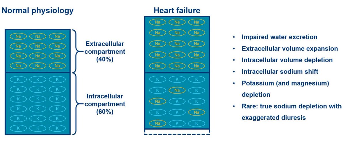 🔴 Evaluation and Management of Hyponatremia in Heart Failure #2024Review link.springer.com/article/10.100… #Cardiology #medEd #medical #medtwitter #CardioEd #CardioTwitter