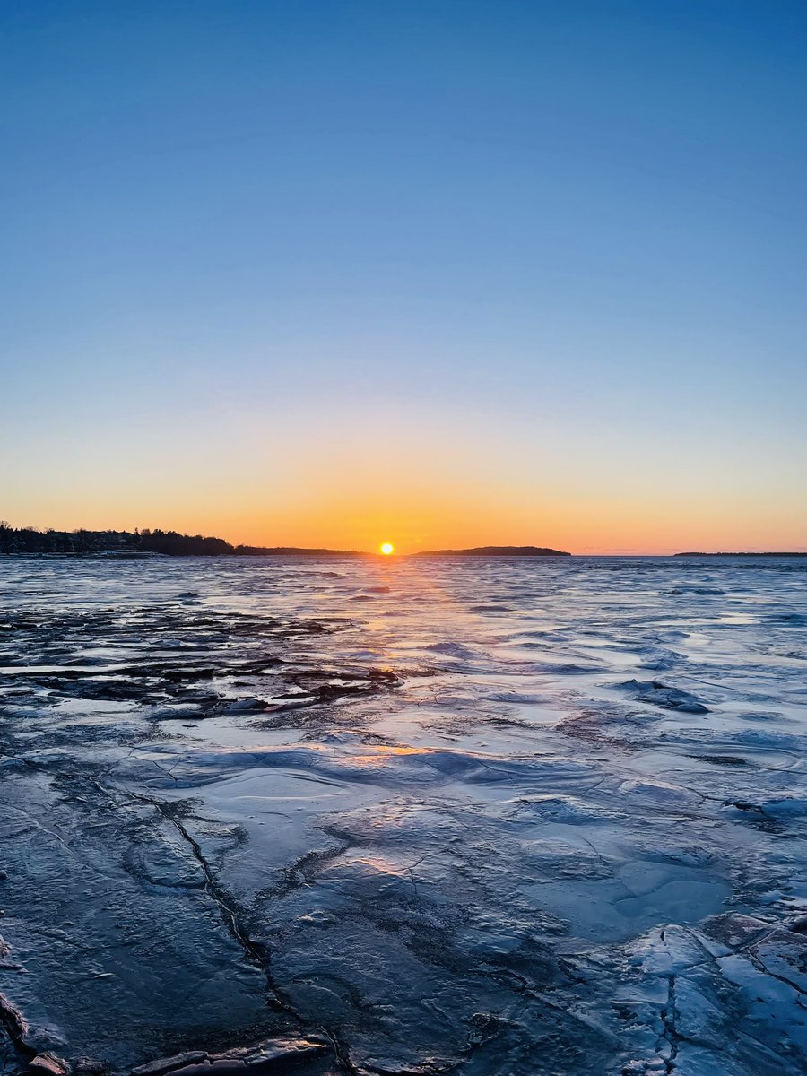 Catherine Xhardez tweet media