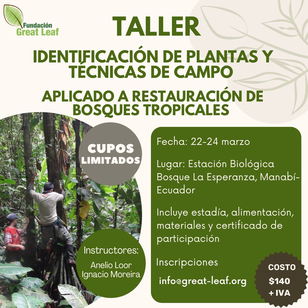 🌱TALLER DE IDENTIFICACIÓN DE PLANTAS Y TÉCNICAS DE CAMPO
Aplicado a restauración de bosques tropicales🍃

✨CUPOS LIMITADOS✨
Para inscribirte, escríbenos a info@great-leaf.org , cuéntanos tu perfil y motivación para este taller.